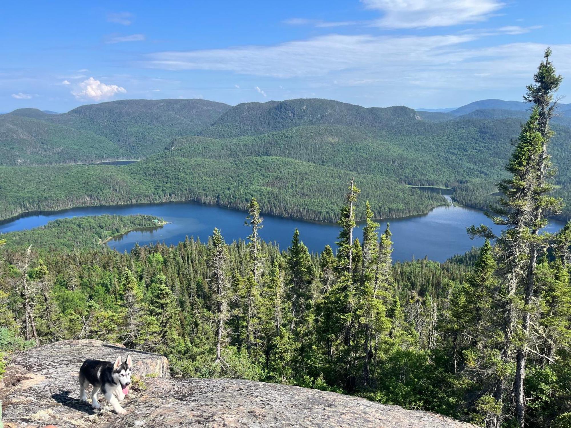 Auberge Boreale De Charlevoix Petit-Saguenay 外观 照片